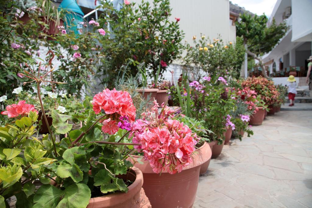 Paralia Guest House Ajia Rumeli Zewnętrze zdjęcie