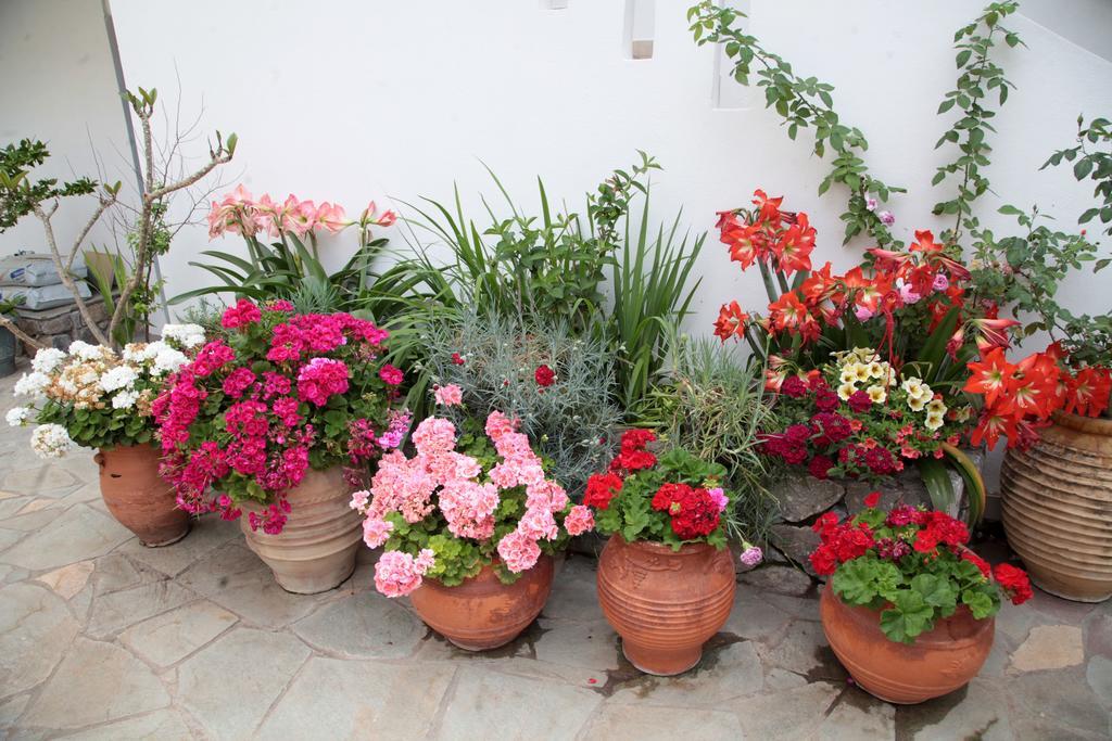 Paralia Guest House Ajia Rumeli Zewnętrze zdjęcie