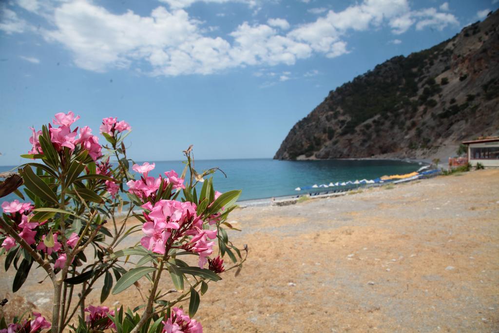 Paralia Guest House Ajia Rumeli Zewnętrze zdjęcie
