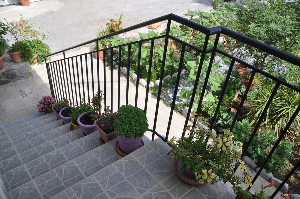 Paralia Guest House Ajia Rumeli Zewnętrze zdjęcie